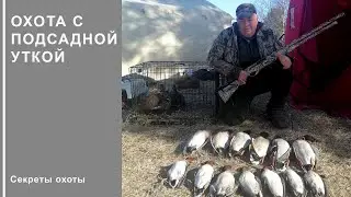 Охота с подсадной уткой/Секреты охоты с подсадной