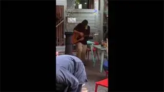NW Portland Garden Jam