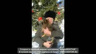 Мои видео слайды