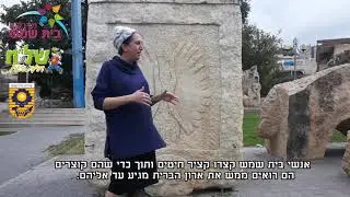 גן גולן
