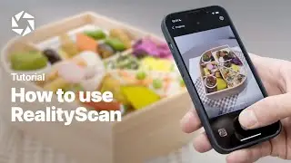 How to Use RealityScan