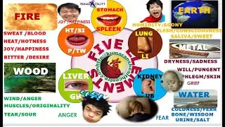 ACUPUNCTURE /FIVE ELEMENTS CHARACTERISTICS