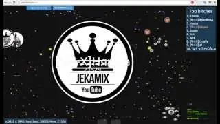 Play Petri Dish #1 Mega split ffa ( Русские сервера )