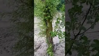 СЕЛ ДАР ДЕХАИ ПОРВЕН ИМРУЗ