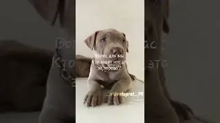 кто знает?