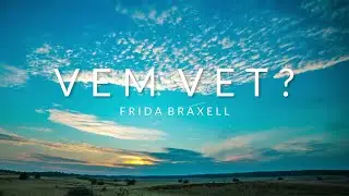 VEM VET - FRIDA BRAXELL  (officiell lyrikvideo)