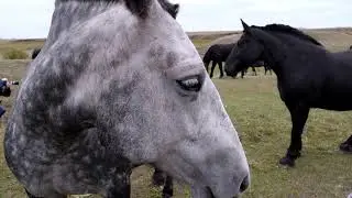 Цильнинский район