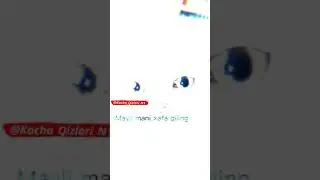 Тайёр туринг..