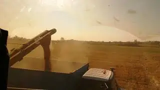 Комбайн ДОН-1500Б. Последние гектары ячменя.