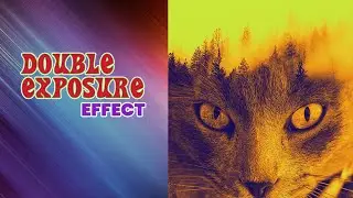 Double Exposure -the Cat Project in Photoshop- Double Exposure Photoshop Step By Step In Bengali