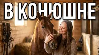 205 День в конюшне 🐎масса впечатлений 🥰