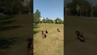 Капитошки купаются! Позитивчик😊😉😆