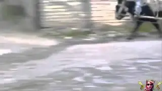 Дрифт осла