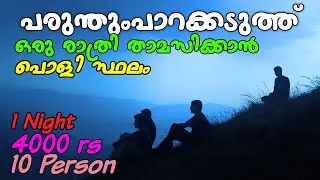 Budget Stay Near Parunthumpara | Idukki | ആഹാ നല്ല പൊളി വൈബ് 🤩  | vibe hunter