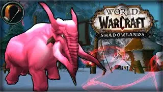 Успейте приручить розового слоника | World of Warcraft