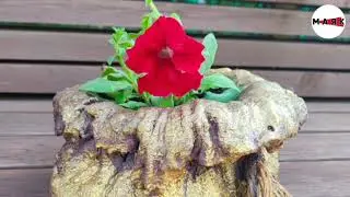 Район газетасына язылыгыз һәм барлык вакыйгалардан хәбәрдар булыгыз