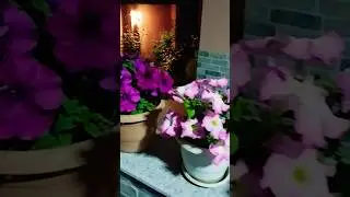 Красотище