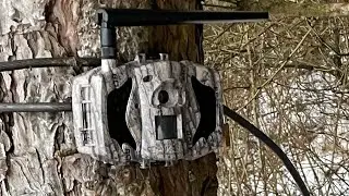 Boly mg984G - 36mpx fotopasca