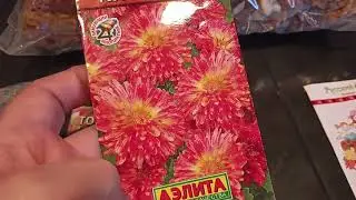 Что купила на Wb