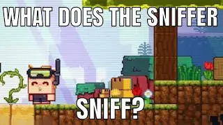 WTF DOES THE SNIFFER SNIFF?