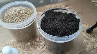 как готовлю грунт сею 🍅гномы