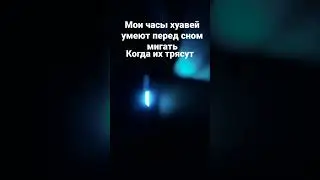 12 февраля 2023 г.
