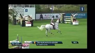 Fape Clinto TZ , gelding 2011 by Clintissimo x Indoctro