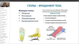 «Стопа танцора  Анатомия и биомеханика мышц  Нарушения  Спец  упражнения»,Степаник Ирина Анатольевна
