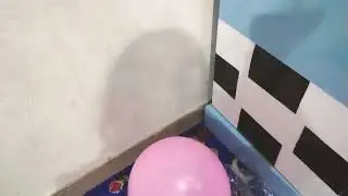 sorry Mr balloon 2022 - 2022