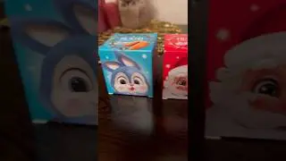 Печенье 🥠 с предсказанием #предсказание #волшебство #shorts #short #shortfeed #magic #cookies