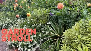 Rainy (and overdue) garden stroll + updates
