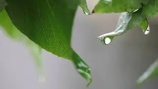 Ещё вчера светило ярко солнце 🌞