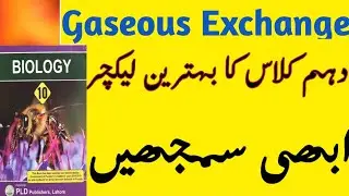 Gaseous Exchange|10th Class|Breathing|Respiration|Introduction to Gaseous Exchange|✓
