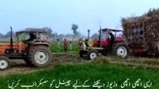 Balarus 510 pulling heavy loaded troly || Tractor pulling sugarcane loaded troly