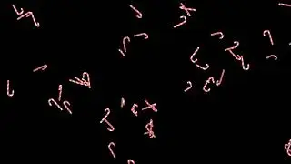 Falling Christmas Candy Cane Red HD Animation