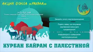 Курбан байрам с ПАЛЕСТИНОЙ! 2024-06-03