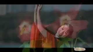 Мелодии души.