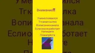 для подписчиков #Oleg78k