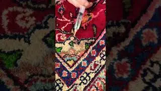 Removing dye from an oriental rug