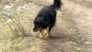 Katie Xmas Quarry Walk pt 2