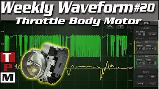 Weekly waveform 20 - How to scope the throttle body motor control