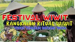 FESTIVAL WIWIT RANGKAIAN RITUAL WIWIT TURUN TEMURUN RATUSAN TAHUN