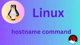 38/50 Basic Linux Commands | hostname command Explained 