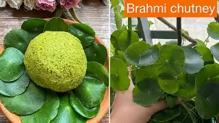 Brahmi chutney|Healthy chutney for dosa and Idli | Brahmi leaves benefits