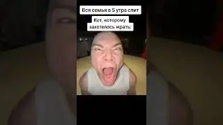 КОШАТНИКИ ПОЙМУТ 🤬 