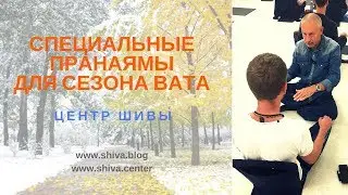 СПЕЦИАЛЬНЫЕ ПРАНАЯМЫ ДЛЯ СЕЗОНА ВАТА. ДЫХАНИЕ, КАК АЛХИМИЯ ЖИЗНИ