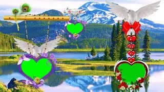 green screen video,shaadi green screen photo frame hd video effect,green