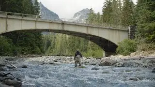 Internship: Mount Rainier
