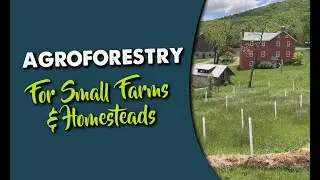 Agroforestry for Small Farms & Homesteads –  Food Forest & Homestead Design