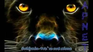 Coldrain- We`re not alone